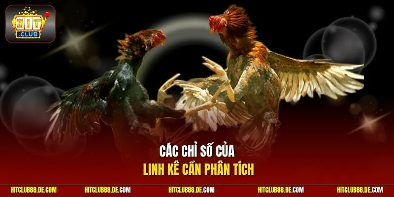 Các chỉ số của linh kê cần phân tích