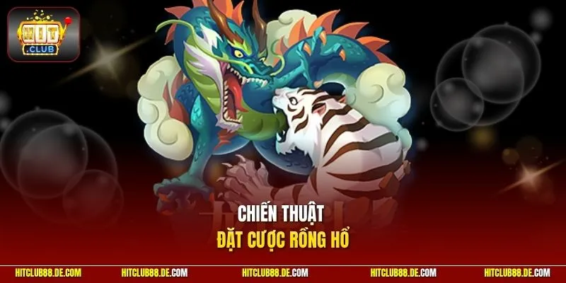 Chiến thuật đặt cược rồng hổ
