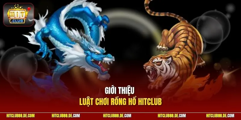 Giới thiệu luật chơi rồng hổ HitClub