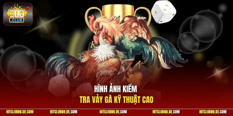 Hình ảnh kiểm tra vảy gà kỹ thuật cao