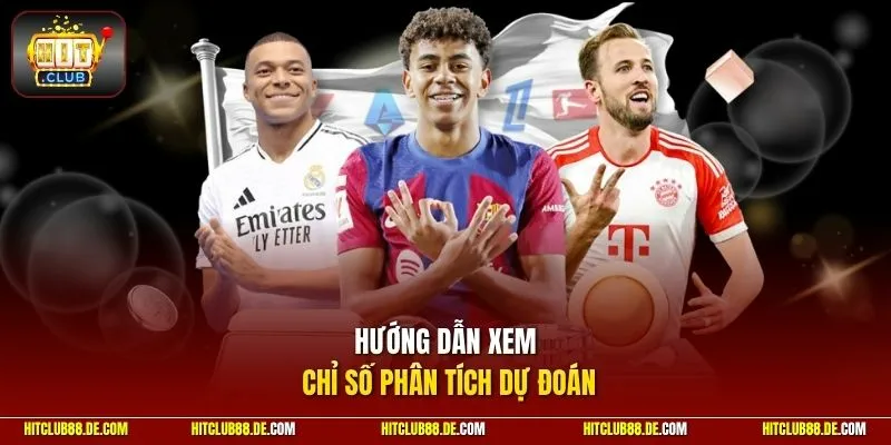 Hướng dẫn xem chỉ số phân tích dự đoán