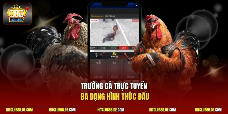 Trường gà trực tuyến đa dạng hình thức đấu