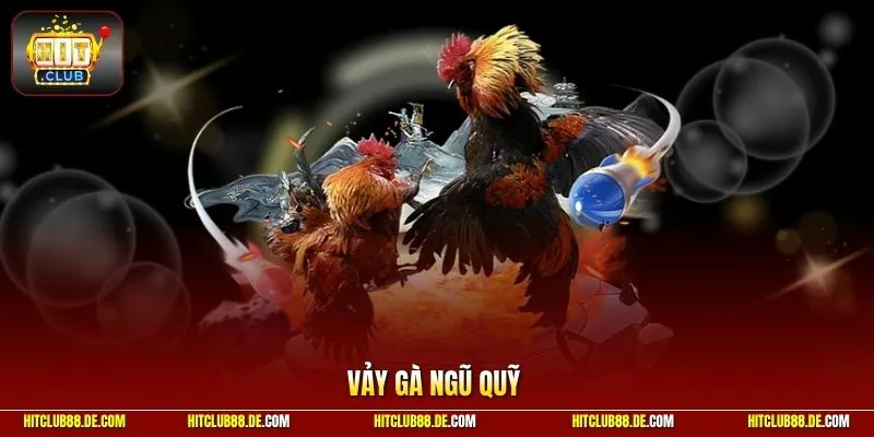 Vảy gà ngũ quỹ